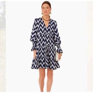 Pomander Place Navy Ikat Kenzo Dress XS/S Chevron Blue & White Tiered Tuckernuck